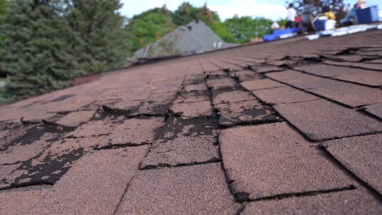 Best Roof Maintenance and Cleaning  in Big Spring, TX
