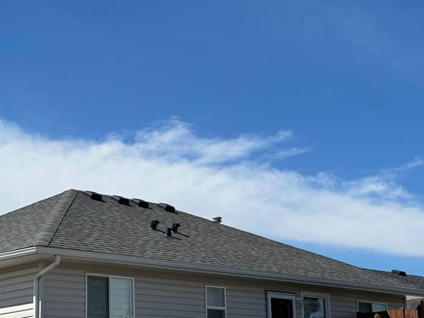 Best Steel Roofing  in Big Spring, TX